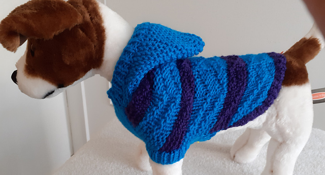Warrior Dog Coat