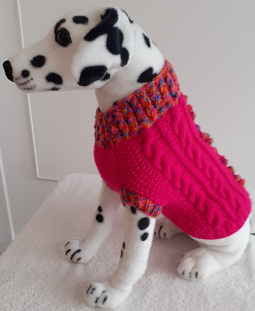 Cherry Blossoms Dog Coat