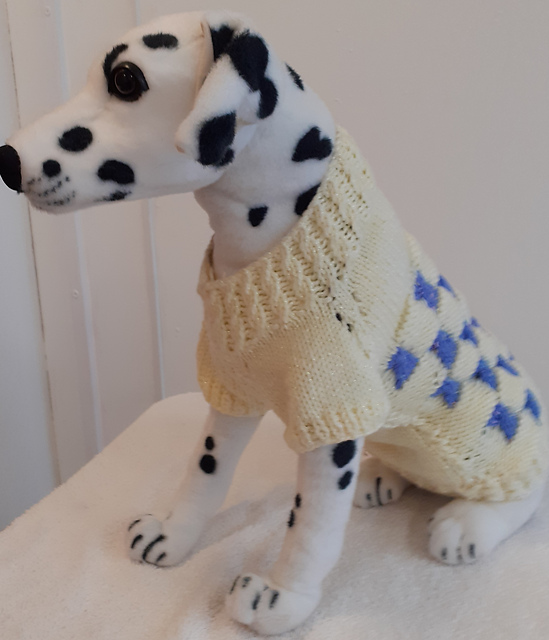 Ribbon Twists Dog Coat