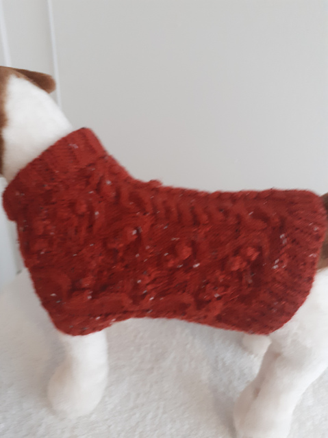 Chilli Pepper Dog Coat