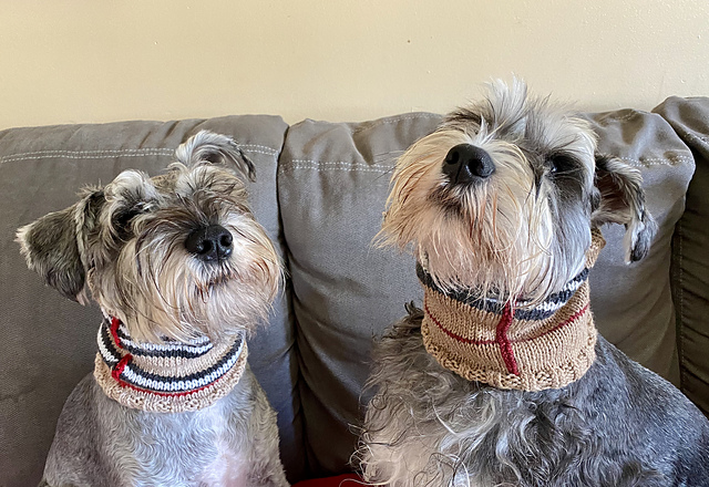 DogBerry Cowl