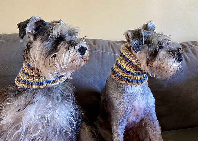 DogSock Cowl