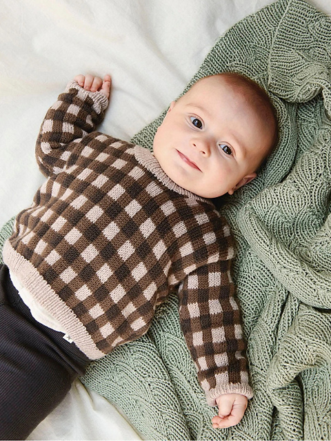 2310-06 Baby Gingham