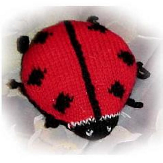 coccinelle