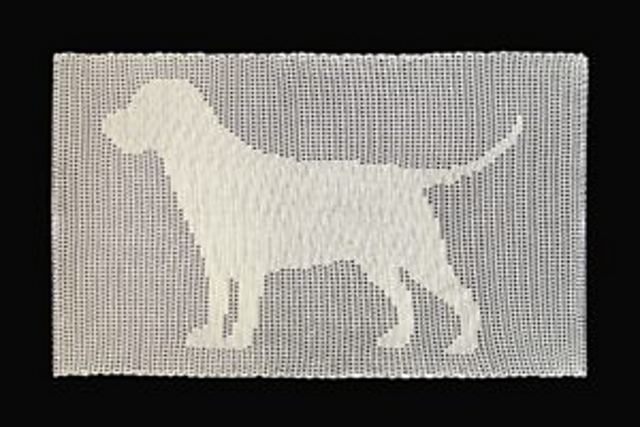 Labrador