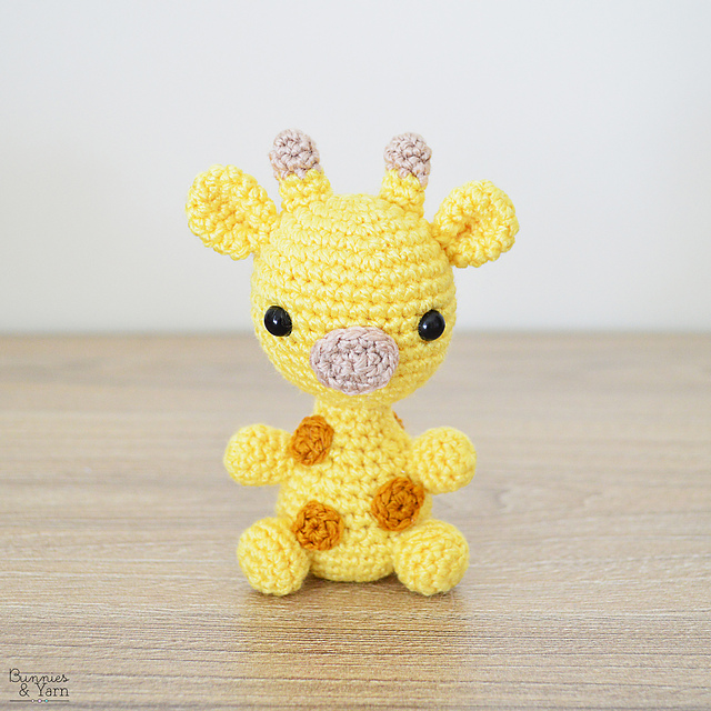 Baby Giraffe