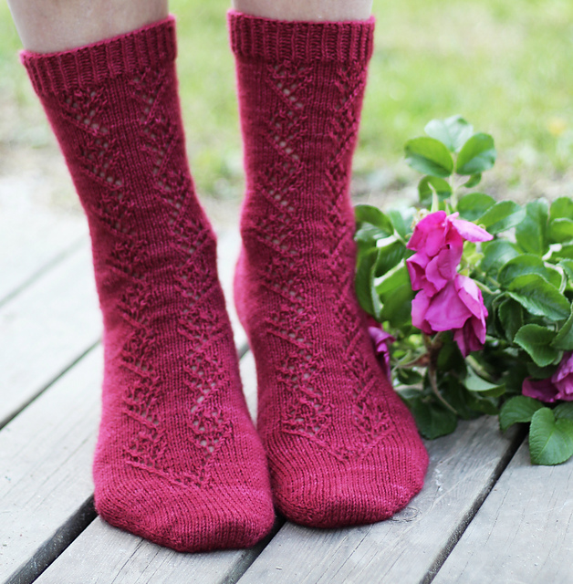 Rugosa