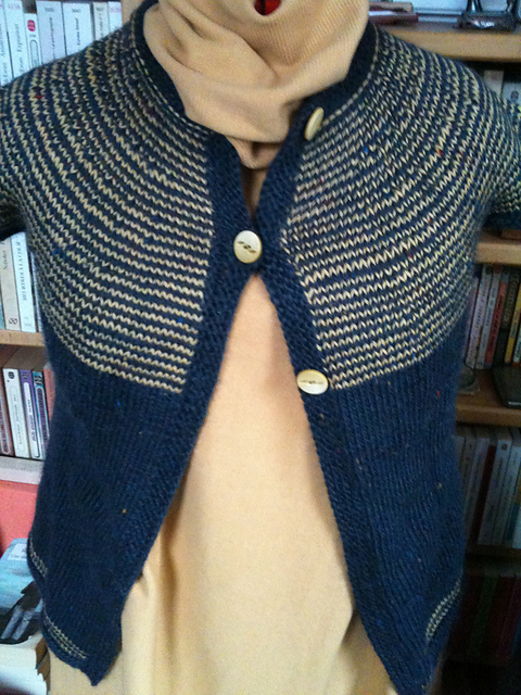 Le gilet (pas) givré de miclasouris