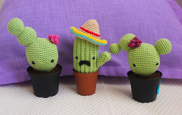 cactus vases Black Orchid: Succulents & Cactus in a Black Vase