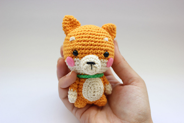 Shiba inu dog