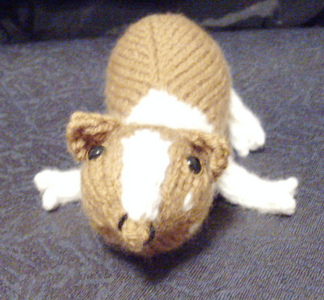 Itty Bitty Guinea Pigs