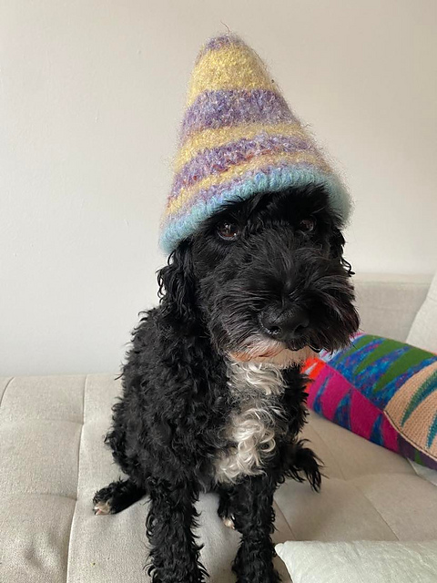Fridas party hat