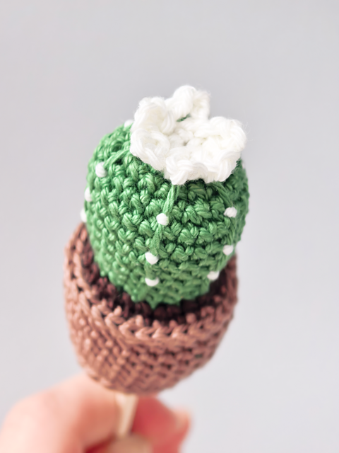 Cactus Object