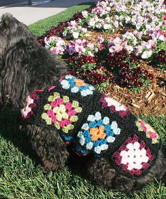 Dog's Crochet Granny Square Sweater