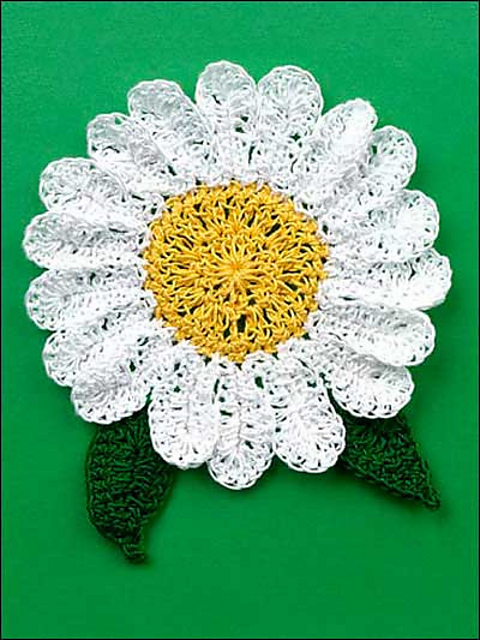 Daisy Coaster