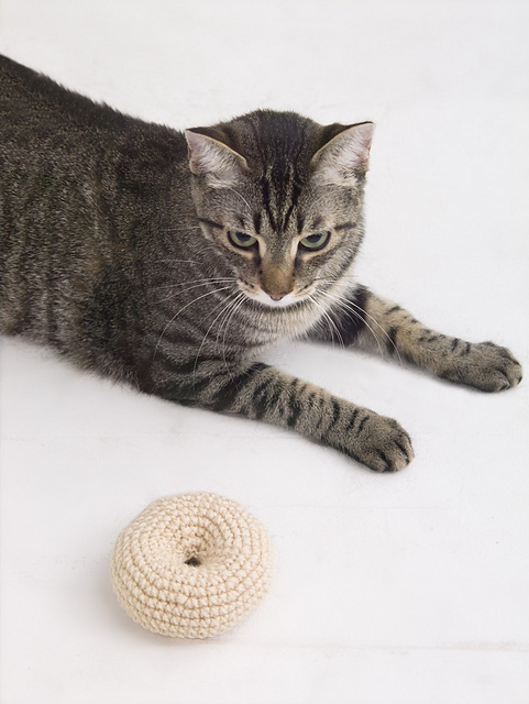 Kent Street Bagel Cat Toy