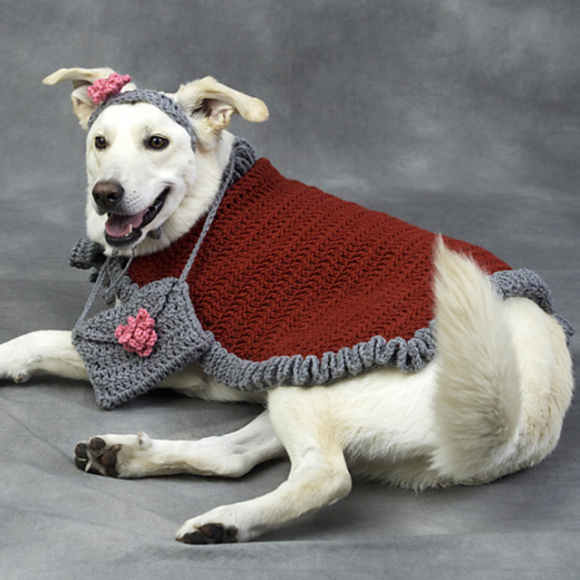 Diva Dog