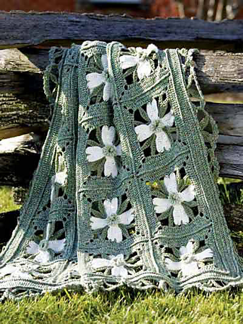 Dogwood Delight