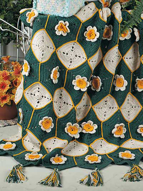Daffodil Afghan