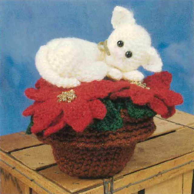 Purr-Fect Poinsettias