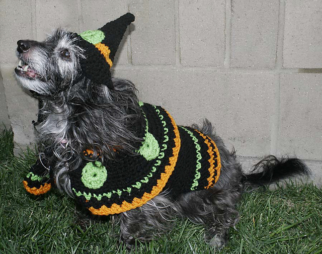 Dog's Crochet Witch Costume