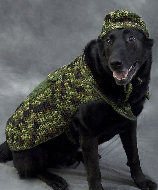 Hunter Dog
