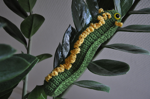 Silkworm