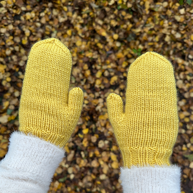 I Want It Mittens