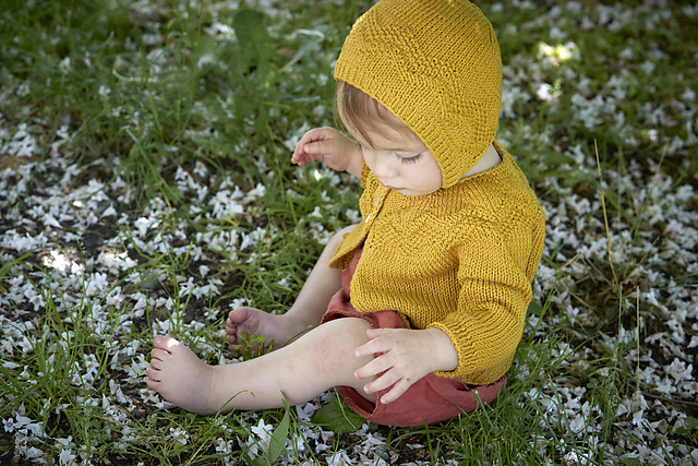Chickadee Cardigan