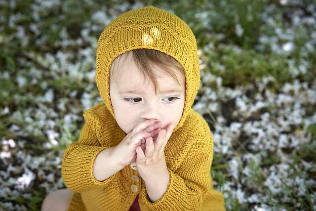 Chickadee Bonnet