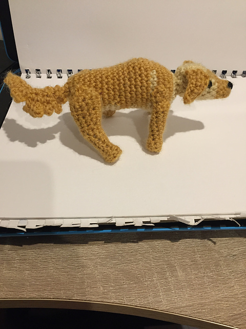 Dog -Labrador