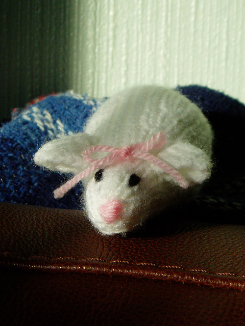 Miss Mouse