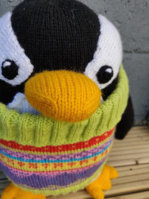 Jumper-Wearing Gentoo
