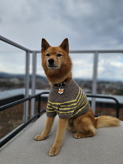 Retro French Sailor Top (Furry Friends)