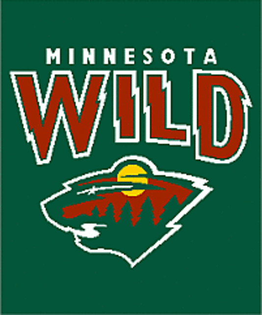 Inspired by Minnesota Wild 2