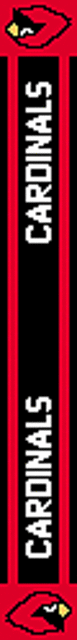 Arizona Cardinals Scarf