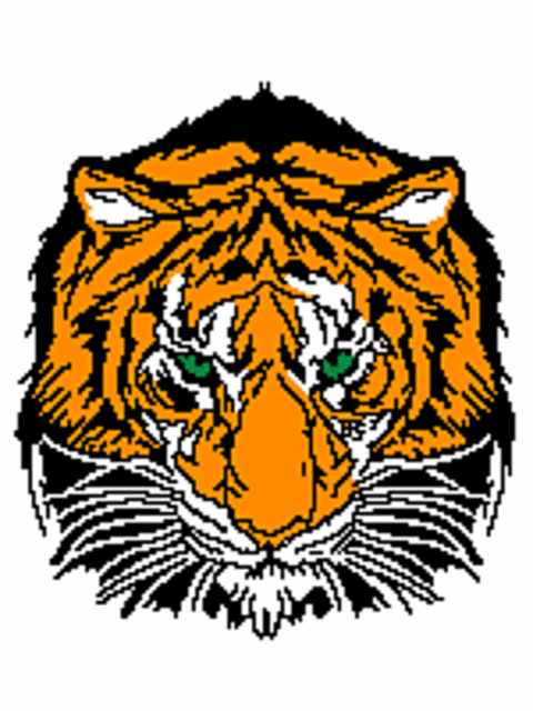 Tiger's Head