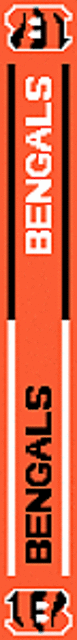 Cincinnati Bengals Scarf