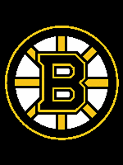 Boston Bruins