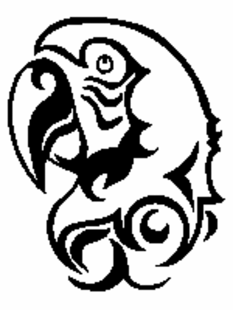 Tribal Parrot