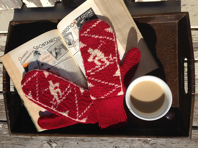 Mittens #511