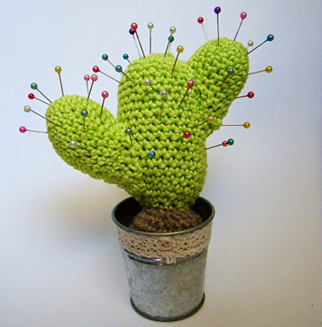 Cactus pique-aiguilles