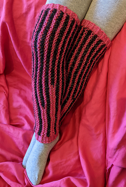Bubblegum Zebra