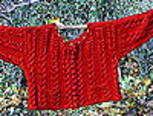 C3 (cropped cabled cardigan)