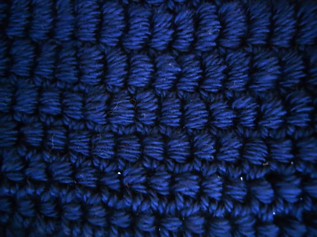 Bullion Stitch