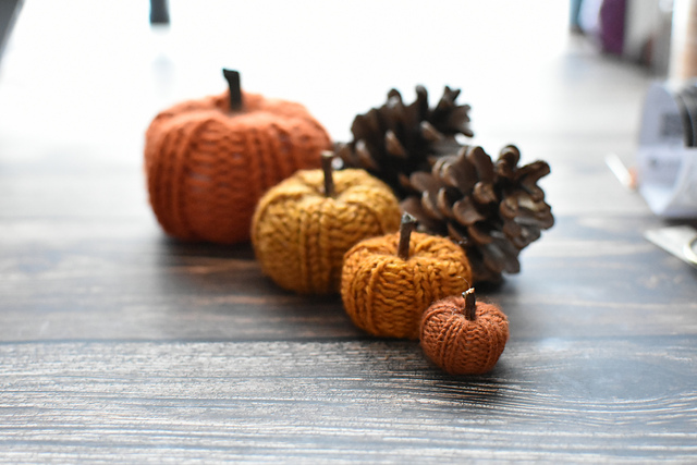 Pumpkins for Beginners