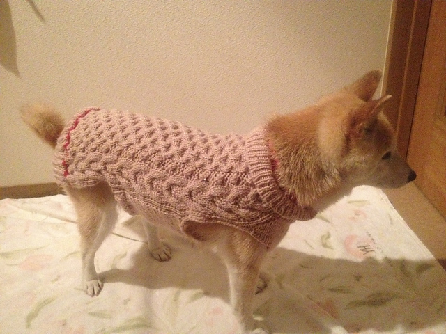 p.71 Dog Sweater
