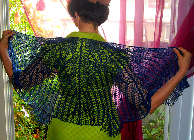 I Flap My Wings and Glide Shawl
