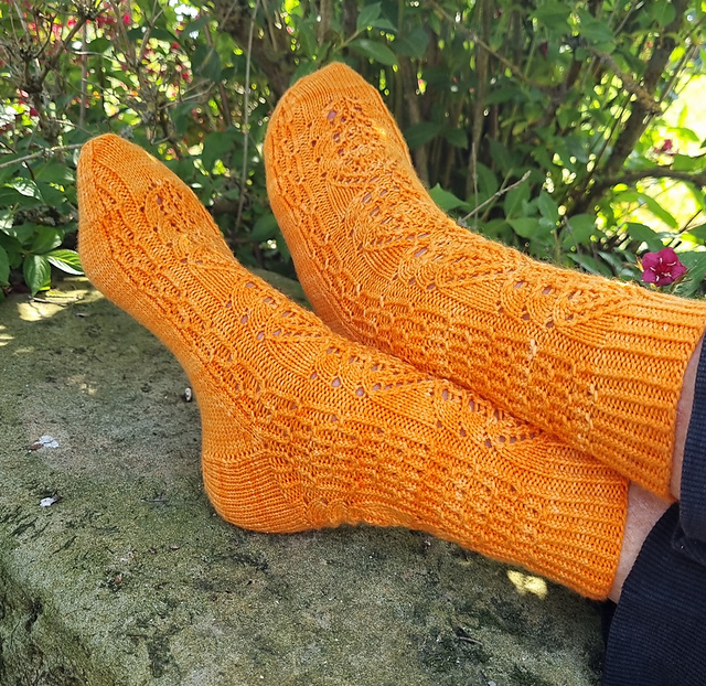 Zinnia Socks