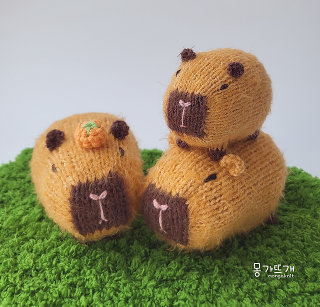 DongGu (knit)